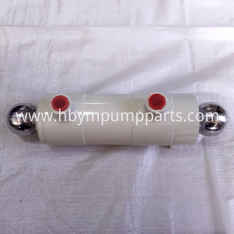 PM 60 Plunger cylinder